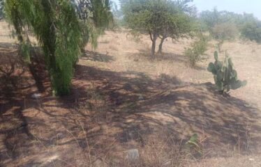 Terreno en Venta en Ex Hacienda La Concepción,Tepotzotlán, Estado de México.