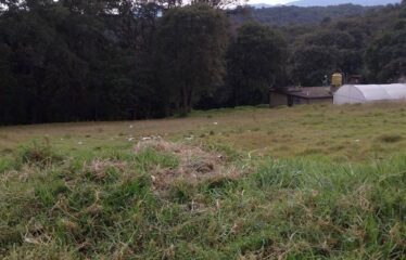 Terreno en Venta en Tlazala, Nicolas Romero, Estado de México.